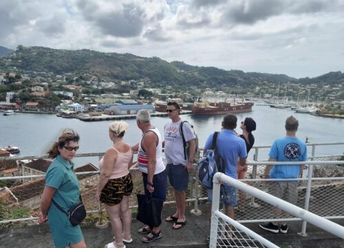 Maximize your time ashore with customized shore excursions designed around your cruise schedule. We'll ensure you experience the island's highlights while returning to the port on time.