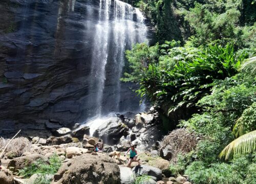 Experience Grenada's lush rainforests, tropical wildlife, waterfalls, hiking trails, and breathtaking landscapes while learning about the island's unique ecosystem.