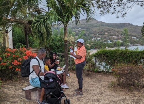 Discover Grenada with Land and Sea Grenada Tours