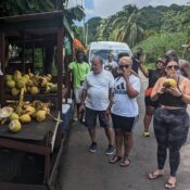 Cheap Taxi in Grenada