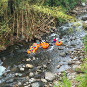 Grenada Cruise Port Taxi